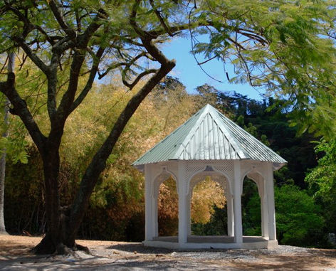 Diverse Dominica photo 2