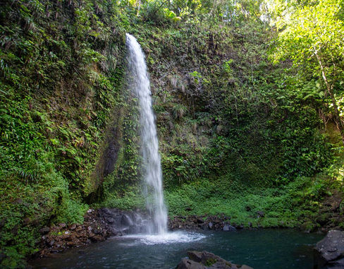 Diverse Dominica photo 3
