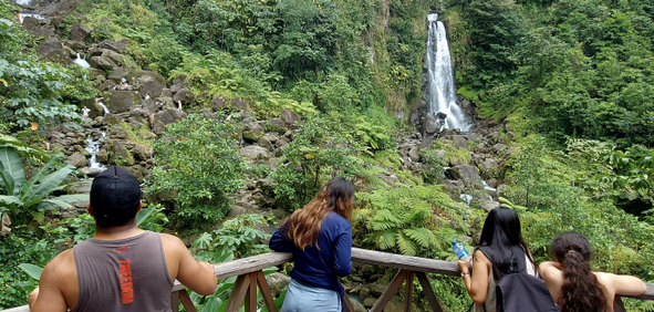 Scenic Dominica photo 2