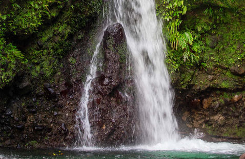 Best of Dominica photo 3